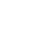 LinkedIn White Logo